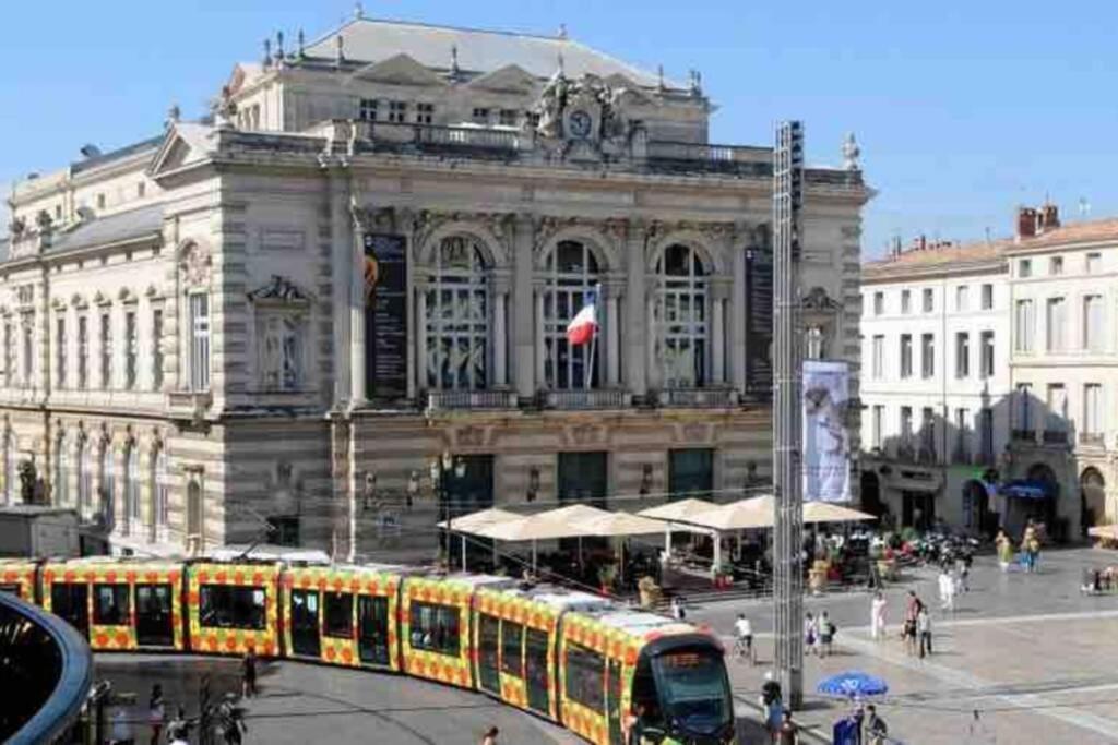 Апартаменты Superbe T2+Parking,Proche Centre Ville & Plages Монпелье Экстерьер фото